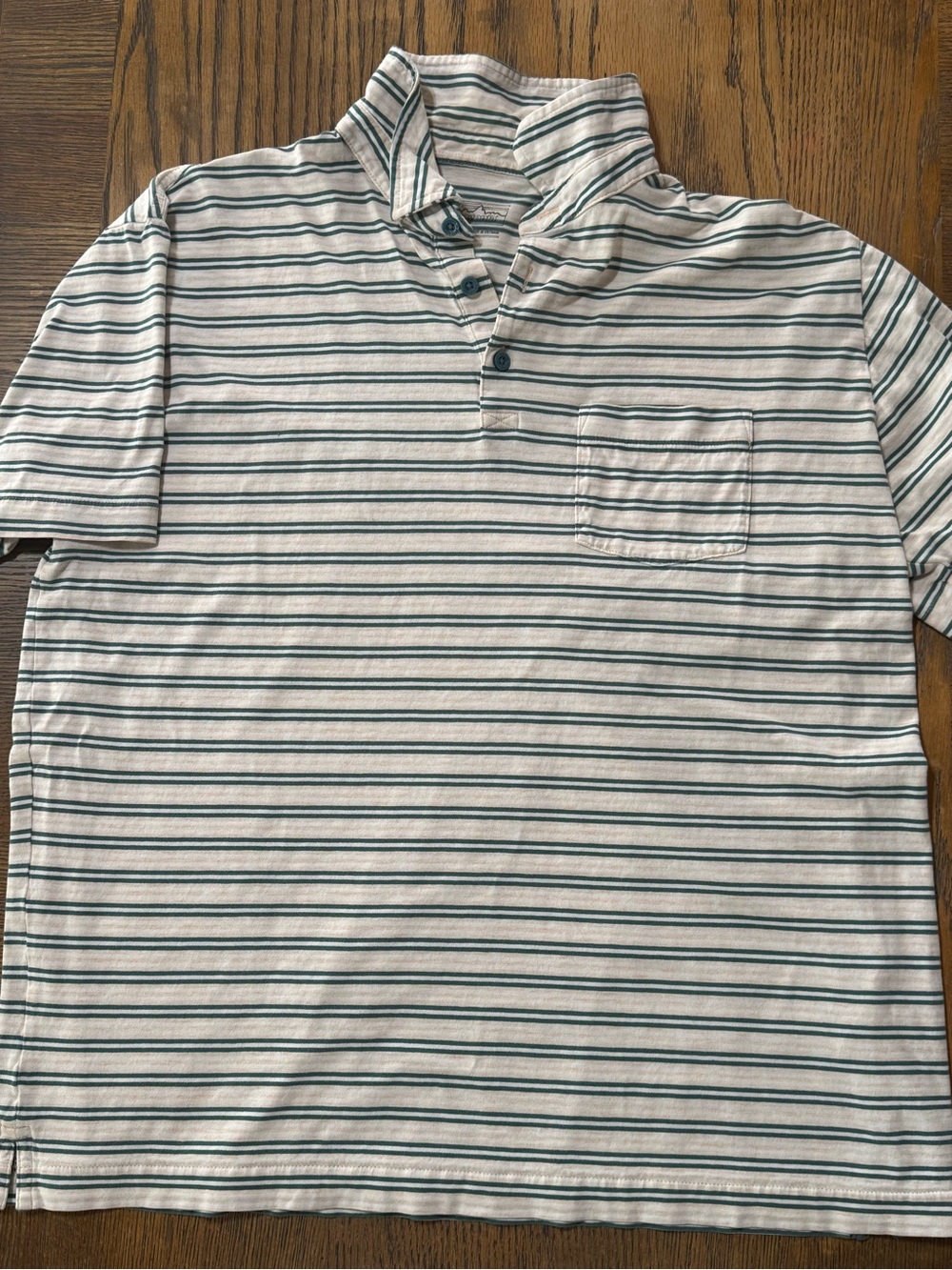 Patagonia Men's Short-Sleeve Striped Polo - White & Green